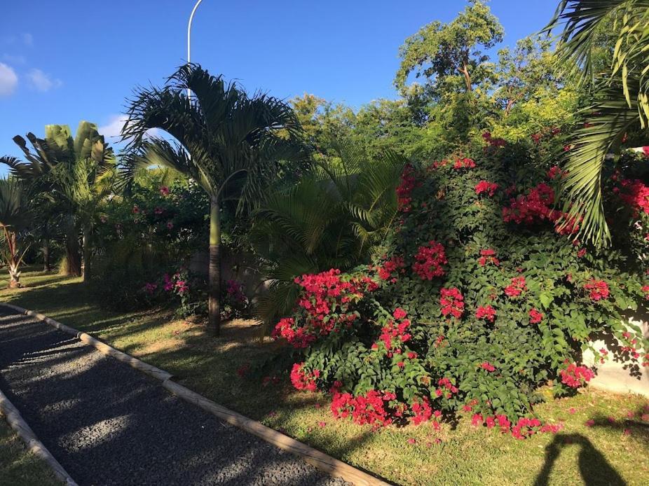 Villa La Belle Creole سانت فرانسوا المظهر الخارجي الصورة